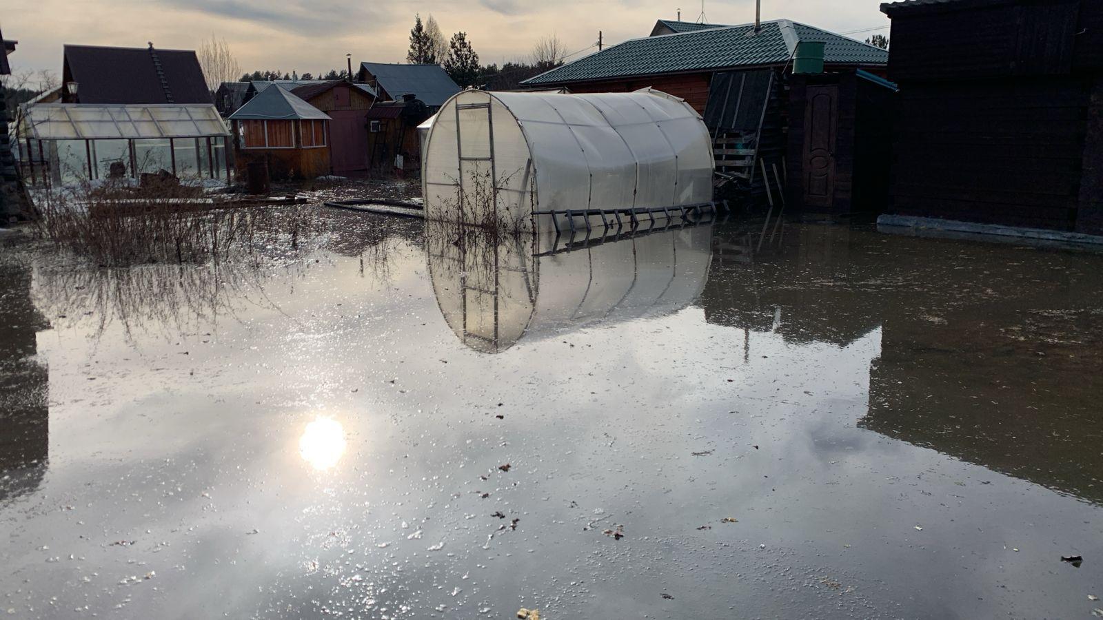 «Уходит под воду» под Новосибирском топит СНТ — люди спасают себя и  животных - 13 апреля 2024 - НГС.ру