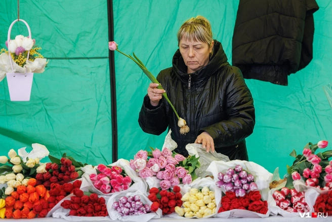 Источник: Алексей Волхонский / V1.RU