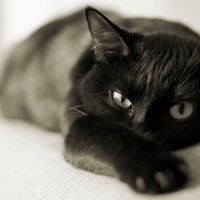 Аватарка KSENIYA