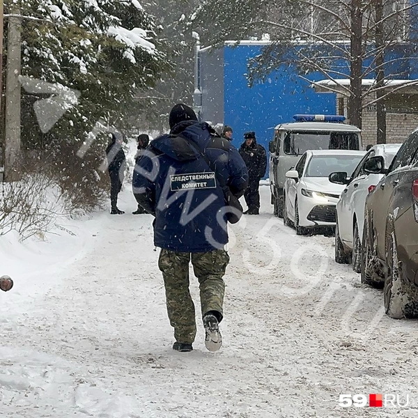 ЧП случилось в синем здании. В Следкоме называют его ангаром и говорят, что его у политеха арендуют | Источник: Алексей Кожевников / 59.RU