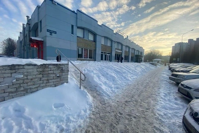 St. Petersburg Snow Removal Failures at 50 Locations