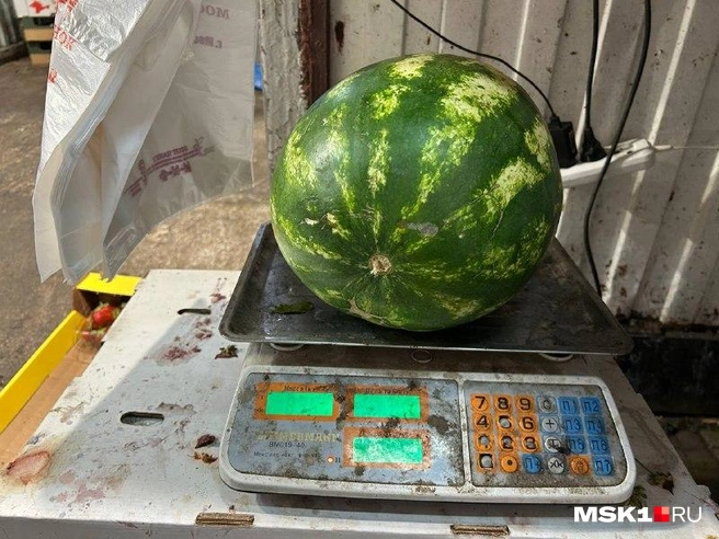 Источник: Римма Багдасарян / MSK1.RU