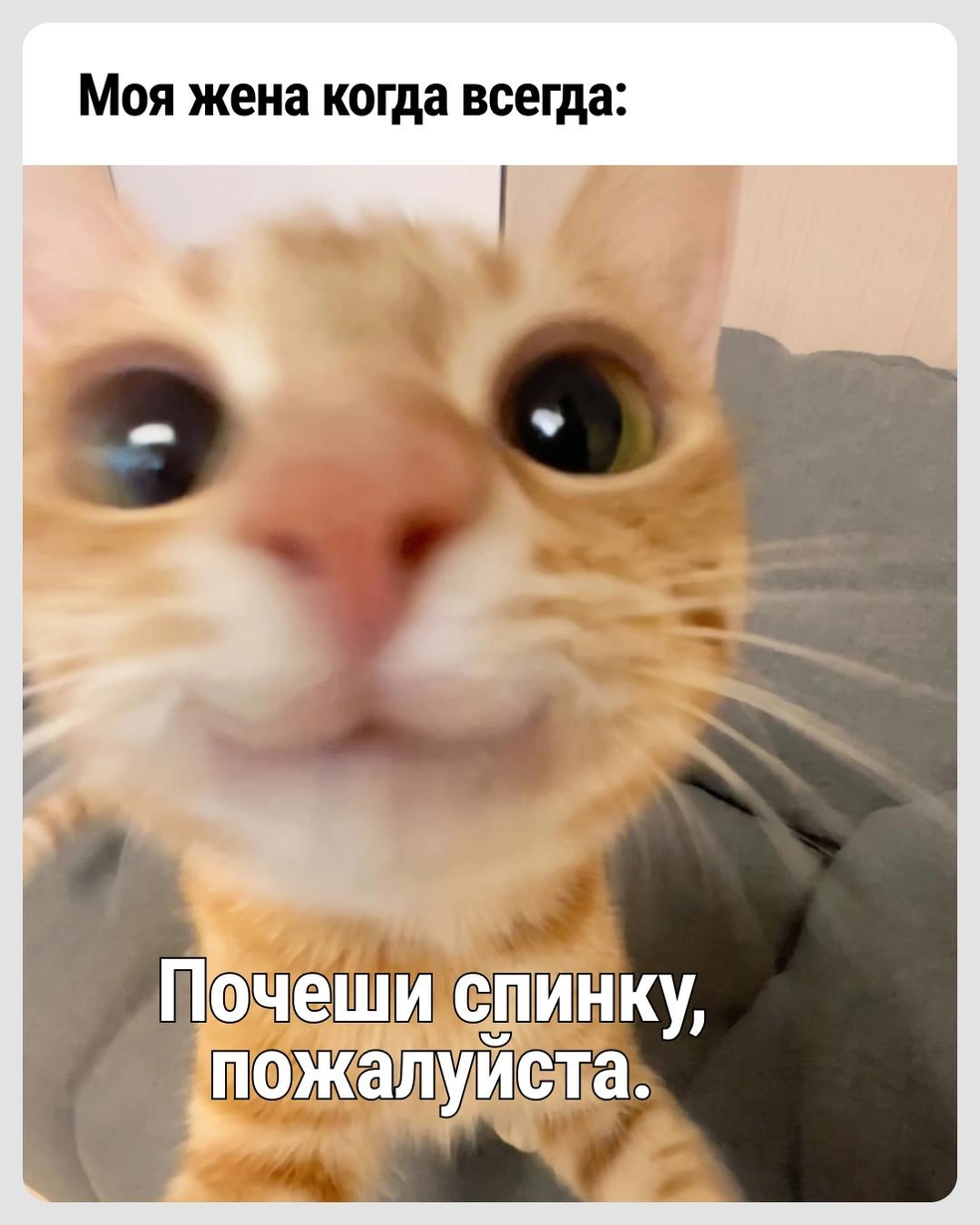 И помассировать еще можно | Источник: Городские медиа
