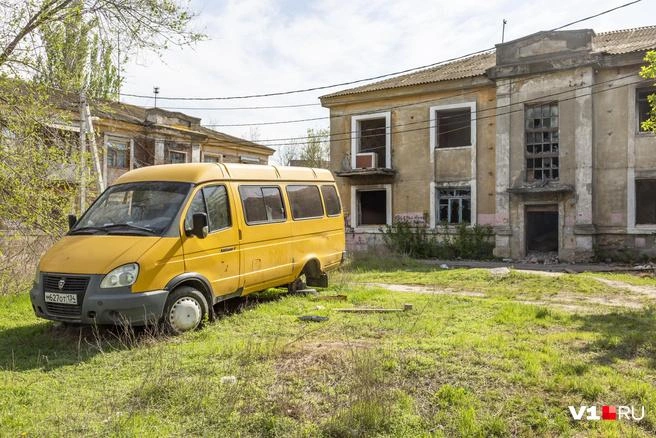 Застройщика обязывают высадить хвойные деревья при благоустройстве территории | Источник: Константин Завриков / V1.RU