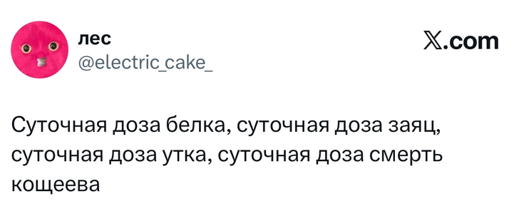 Источник: X (Twitter)