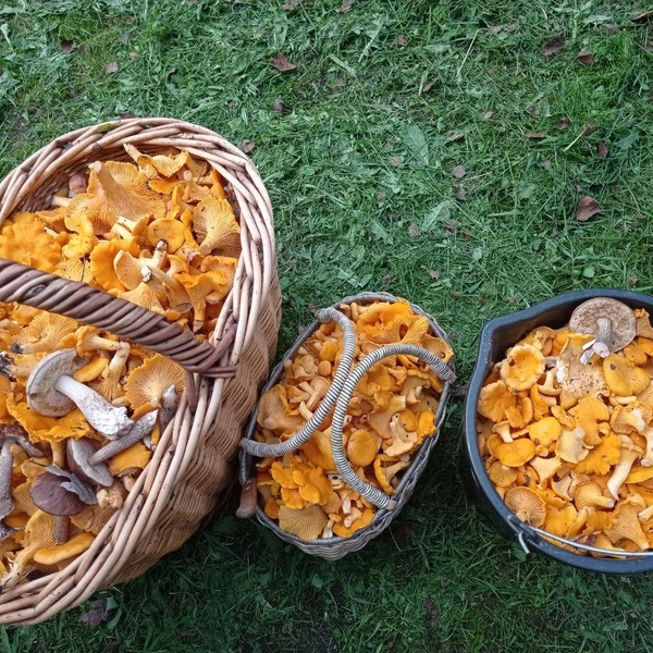 Источник: читатель NN.RU