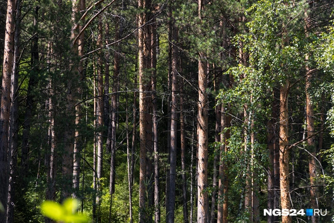 Это еще до скал не добрались | Источник: Мария Ленц / NGS24.RU