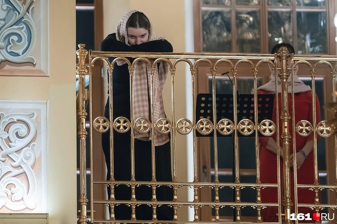 Источник: Евгений Вдовин / 161.RU