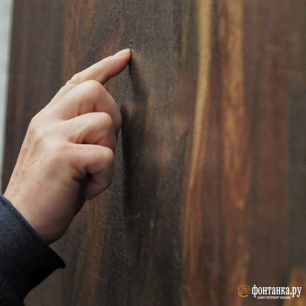 Источник: Михаил Огнев / «Фонтанка.ру»