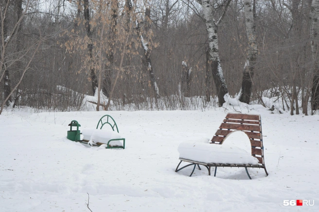 Снеговые шапки на скамейках | Источник: Анастасия Баринова / 56.RU