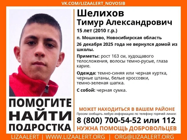 Волонтеры «ЛизаАлерт» проводят поисковые мероприятия | Источник: ЛизаАлерт Новосибирской области / ВКонтакте 