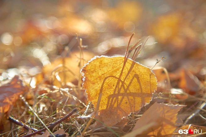 Какая погода будет на выходных 18 и 19 октября в Алтайском крае? | Источник: Роман Данилкин / 63.RU