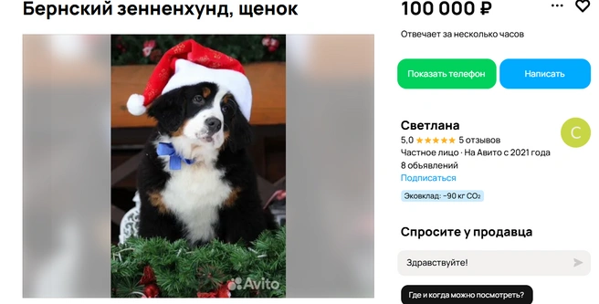 Новогодний подарочек | Источник: Авито