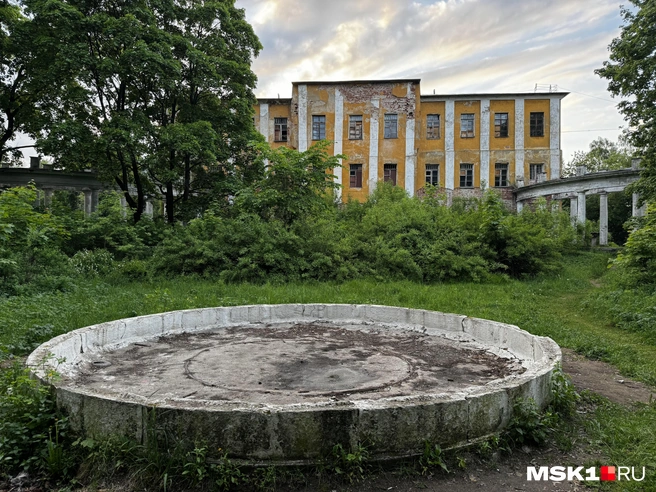 Источник: Алина Мельникова / MSK1.RU
