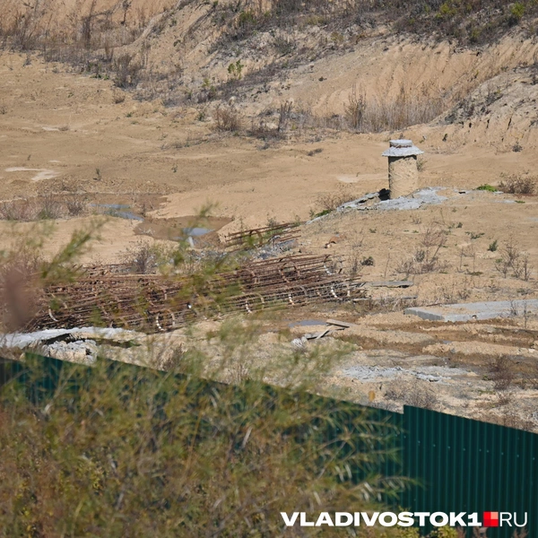 Источник: Елена Буйвол / VLADIVOSTOK1.RU