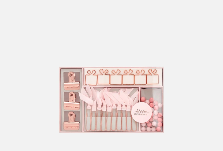 Канцелярский набор N Family Pink