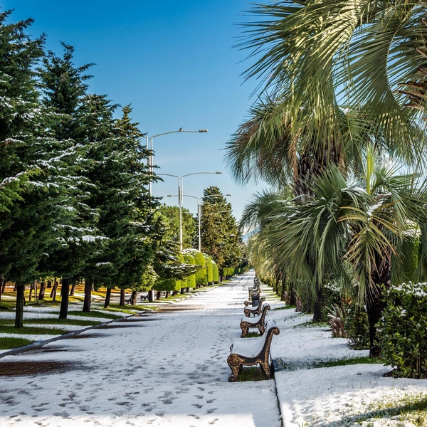 Источник: RuslanKphoto/Shutterstock/Fotodom.ru