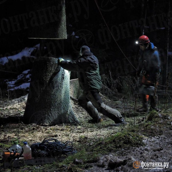 Источник: Михаил Огнев / FONTANKA.RU