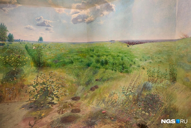 Рисунок в куполе сделан по фотографиям Омской области  | Источник: Александр Ощепков / NGS.RU