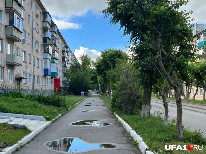 Вроде бы ничего такого, но деревья сильно меняют облик города | Источник: Андрей Бирюков / UFA1.RU