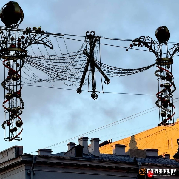 Источник: Марина Мамонтова / FONTANKA.RU