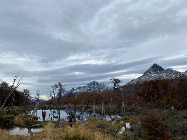 Источник: Андрей Виноградов