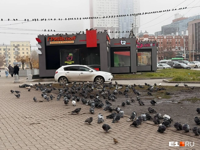 Пассажиры ждут своей посадки, но их поезд всё никак не прибывает | Источник: Дарья Костомина / E1.RU