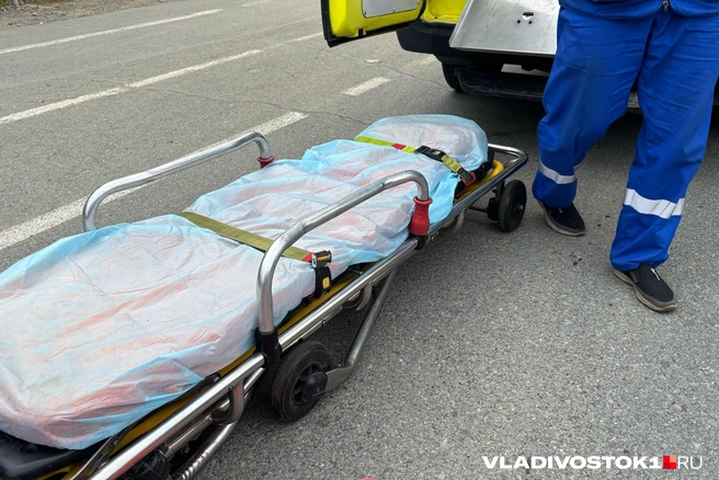 Отмечала день рождения. В Тулуне 17-летняя девушка выпала из окна | Источник: Елена Буйвол / VLADIVOSTOK1.RU