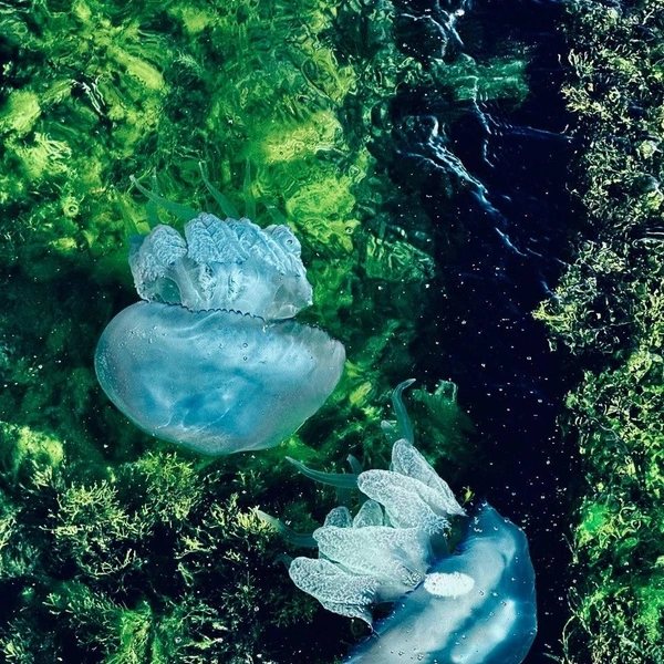 Источник: Бельбекская долина. Крым / Vk.com