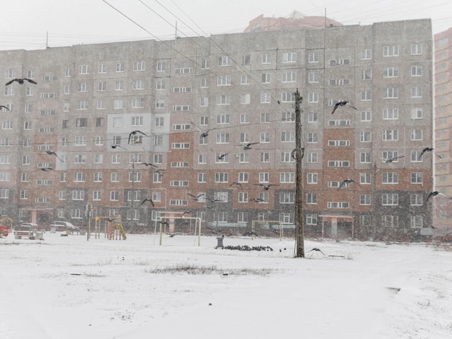 Зима в текущем сезоне отличается непостоянством. | Источник: Артем Бауман / 76.RU