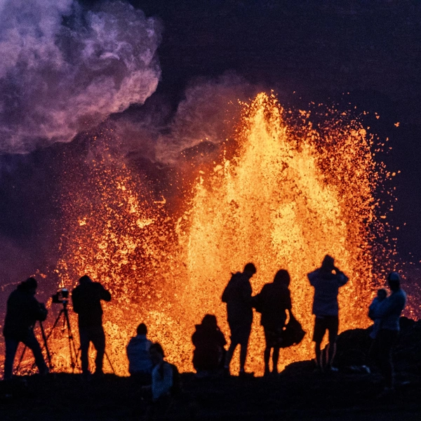 Источник: Gary Miller/Getty Images