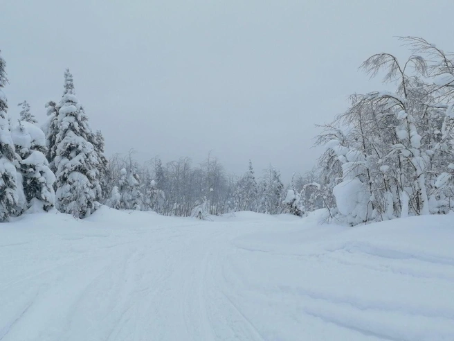 Зимой по Ослянке катаются и на снегокатах, и на лыжах | Источник: Андрей Шихов / Vk
