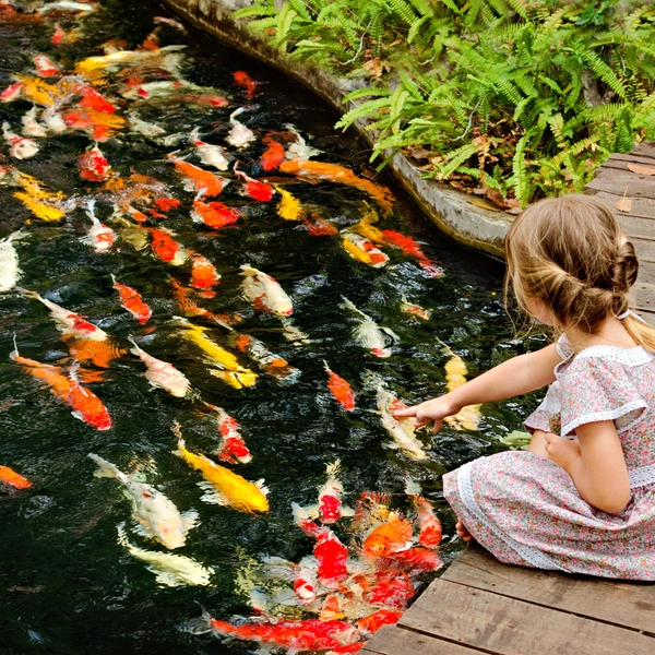 Источник: Nadezhda Sarkisian/Shutterstock/Fotodom.ru