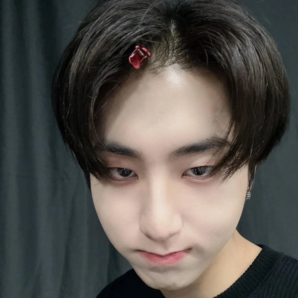 Источник: Соцсети Stray Kids