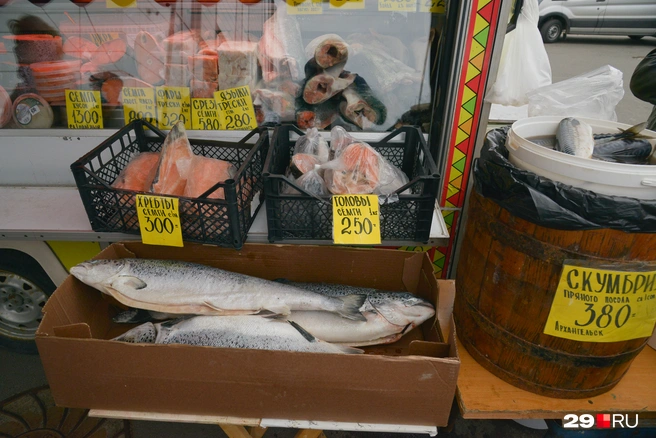 Головы семги отдают по 250 рублей за 1 кг, хребты — по 300 рублей | Источник: Иван Митюшёв