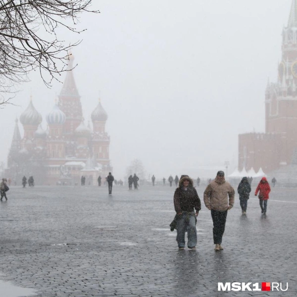 Источник: Татьяна Спиридонова / MSK1.RU
