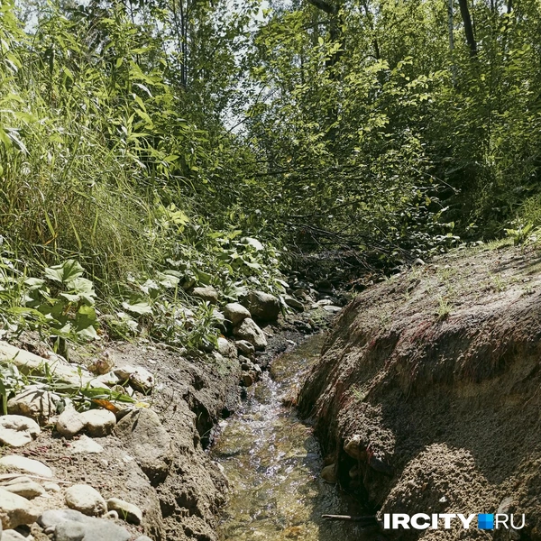 Маленький ручеек, наполняющий Харлахту водой неподалеку от места впадения в Байкал | Источник: Даниил Конин / «ИрСити»