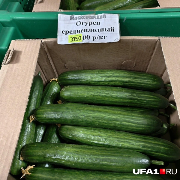 Источник: Булат Салихов / UFA1.RU