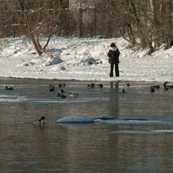 Источник: Павел Глазков / «Каждой твари по паре» 