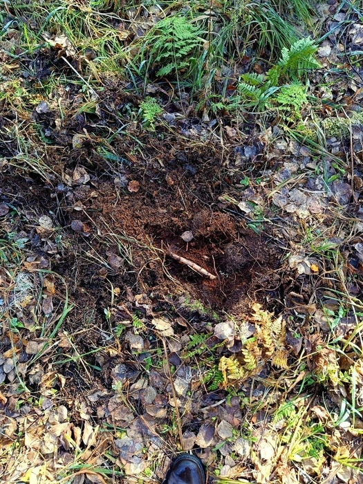 Источник: «Поиск пропавших детей имени Оксаны Василишиной»