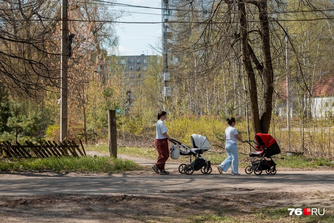 Мамочки с колясками из соседних домов любят прогуливаться по старой части поселка | Источник: Александр Куренной / 76.RU