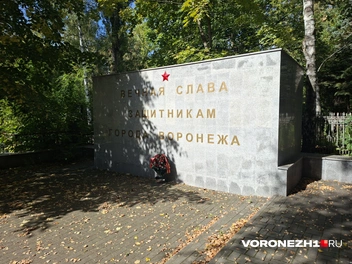 Источник: Алёна Воропаева / Voronezh1.ru