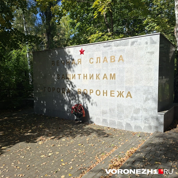 Источник: Алёна Воропаева / Voronezh1.ru