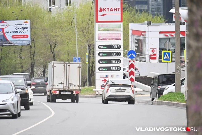 Источник: Елена Буйвол / VLADIVOSTOK1.RU