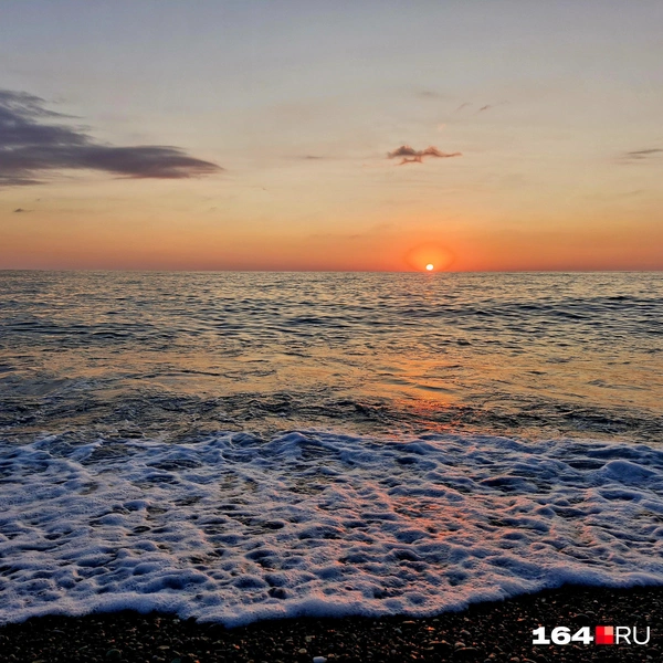 Источник: Виктория Федорова / 164.RU