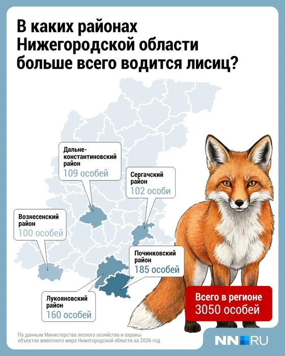 Источник: Городские медиа
