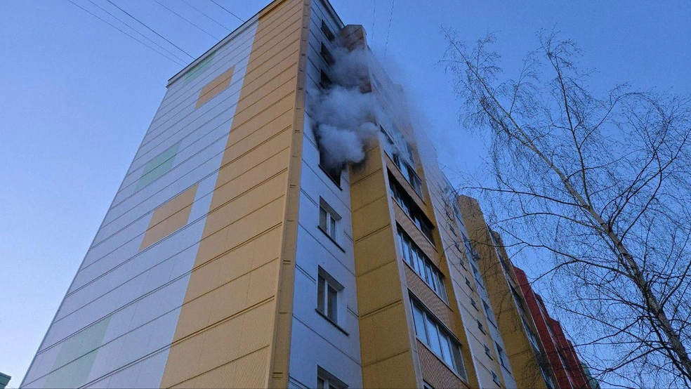 Огонь вспыхнул в городском округе Власиха | Источник: Герман Потапчук. Глава г. о. Власиха / Telegram