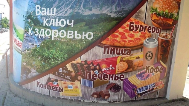 20 картинок недели и белки, которые на самом деле не впали в спячку