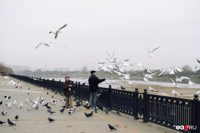 На месте этой набережной власти решили построить самый большой храм в ЮФО | Источник: Дарья Паращенко / 93.RU