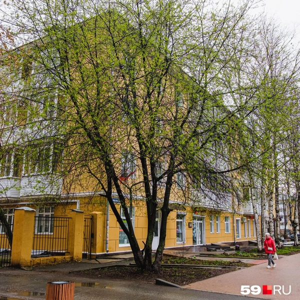 Источник: Тимофей Калмаков / 59.RU